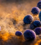 אספרגילוזיס - תמונת המחשה